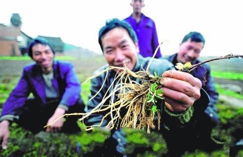 477855fca00a446b998ed7f20f2a89dc