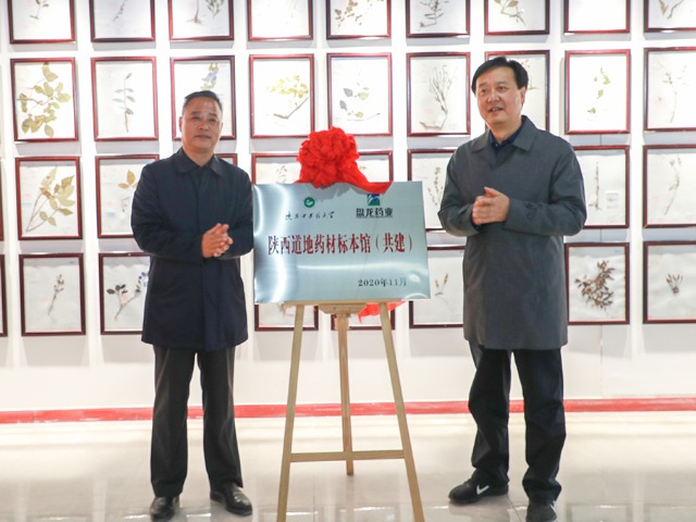 746c75ef491b50b7d67199210907f5db