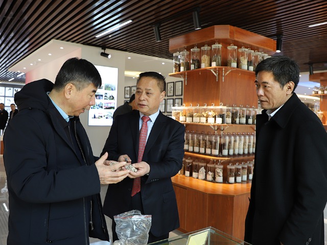 e139c1b6600dd5e85b37770bca33c601